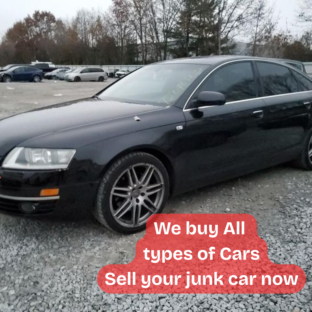 Happy seller shaking hands with our driver