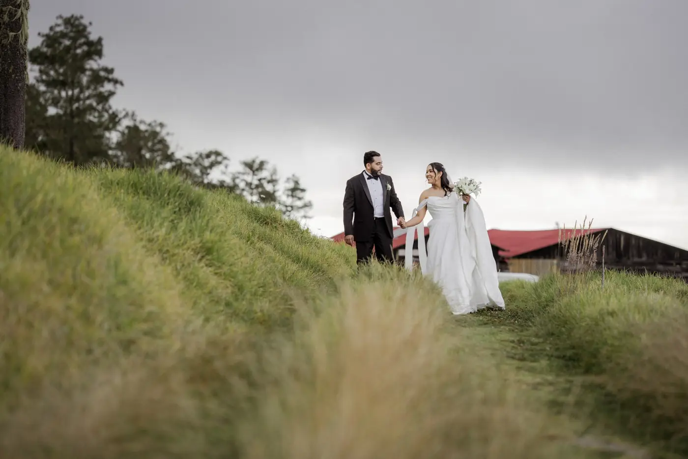 Los novios caminan de la mano por un sendero de hierba alta bajo un cielo nublado