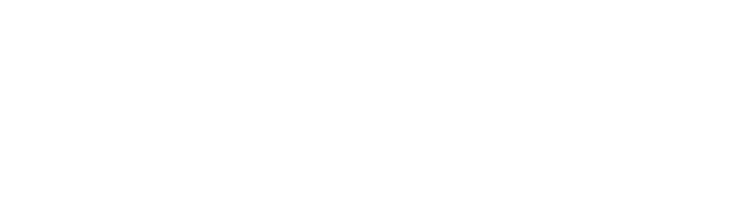 Vision Tree Leadership