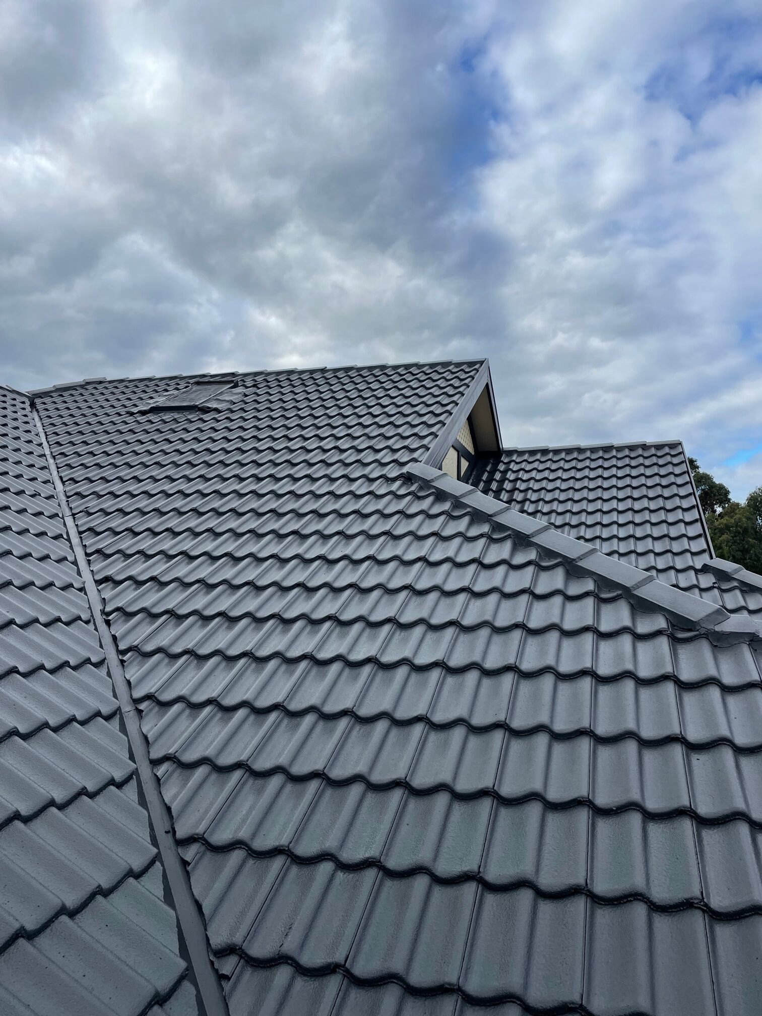 Roof Painting