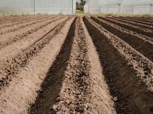 {{ custom_values.service_1 }} in {{custom_values.area_2})