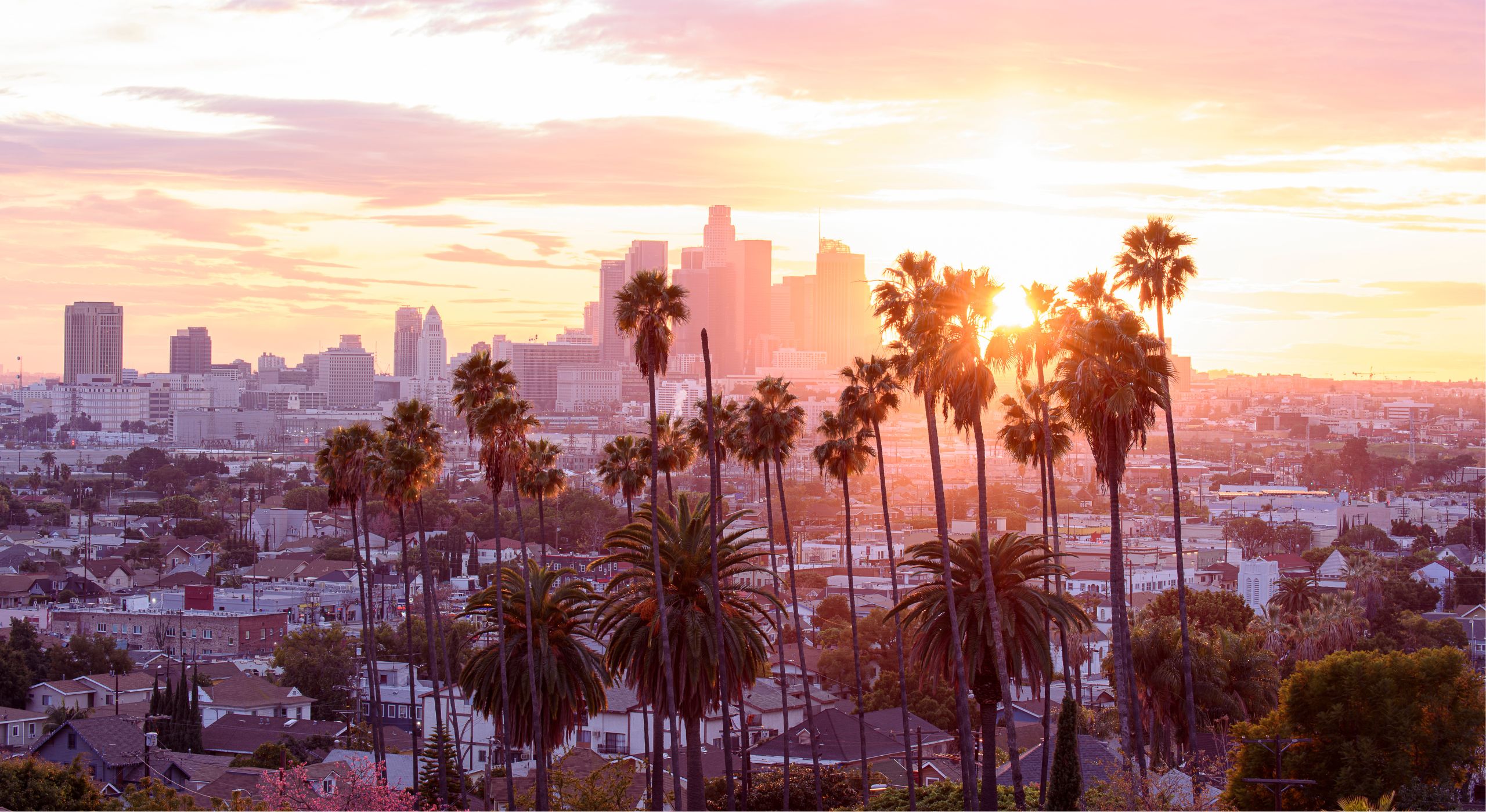 Custom exterior design and renovation in Los Angeles