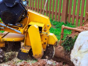 in Bradley County, TN