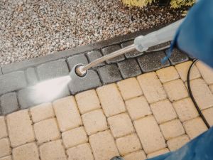 {{ custom_values.service_4 }} in {{custom_values.area_1})