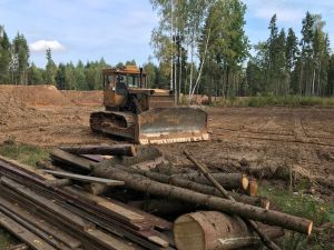 {{ custom_values.service_3 }} in {{custom_values.area_1})