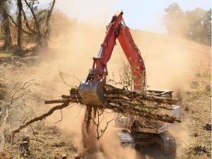 {{ custom_values.service_3 }} in {{custom_values.area_1})