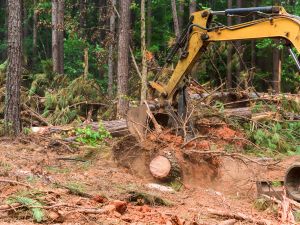 {{ custom_values.service_2 }} in {{custom_values.area_1})