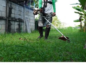 {{ custom_values.service_4 }} in {{custom_values.area_1})