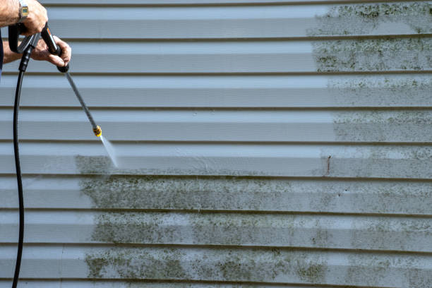 Pressure Washing project