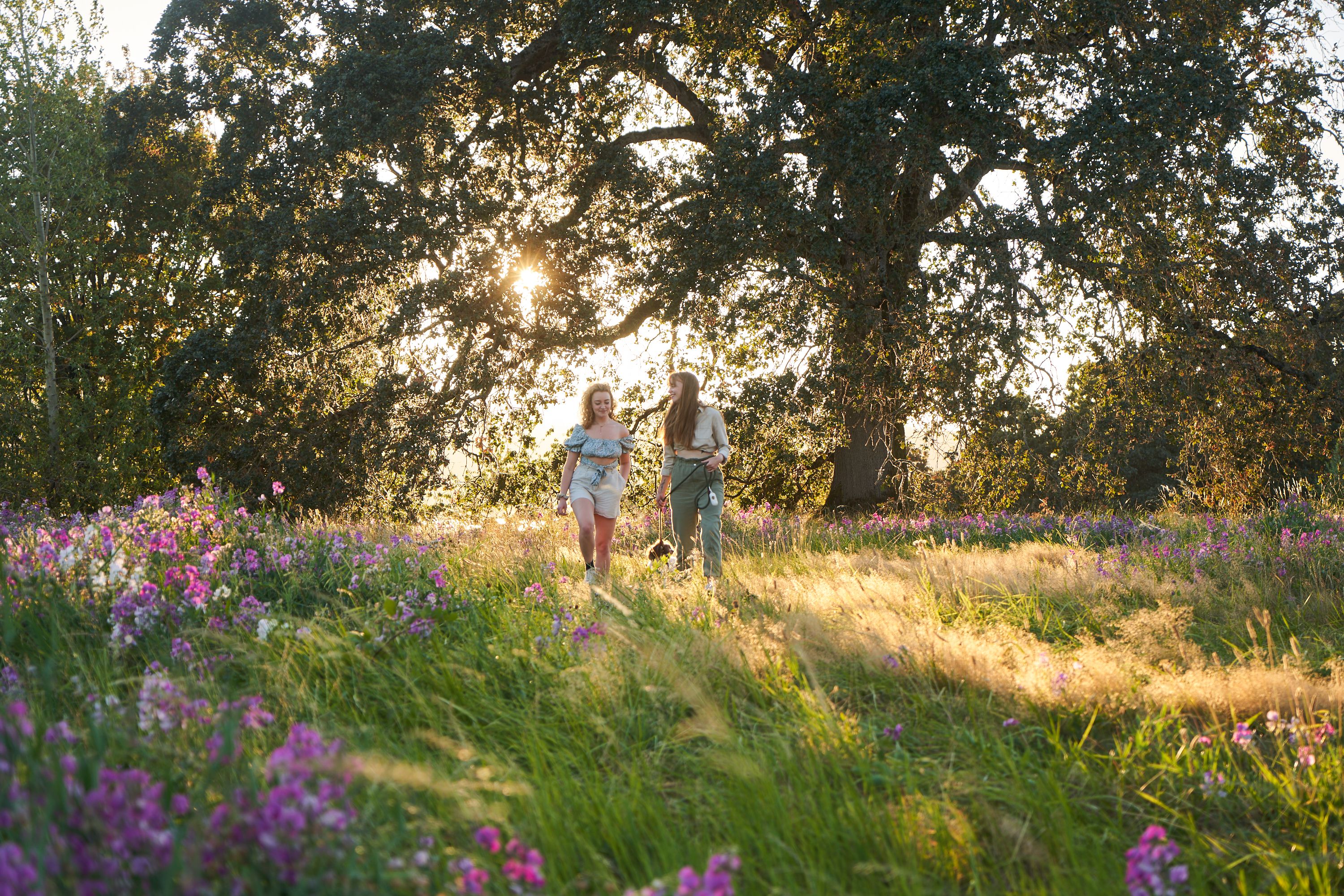 walking through wildflowers