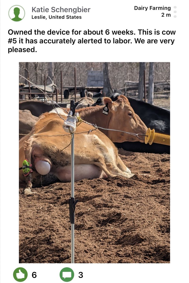 Moocall customer post 19
