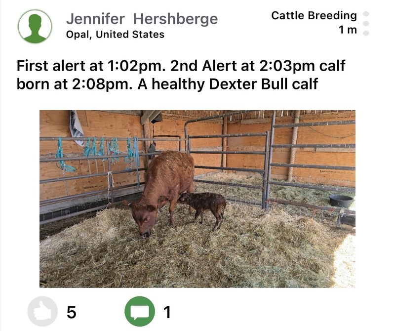 Moocall customer post 4