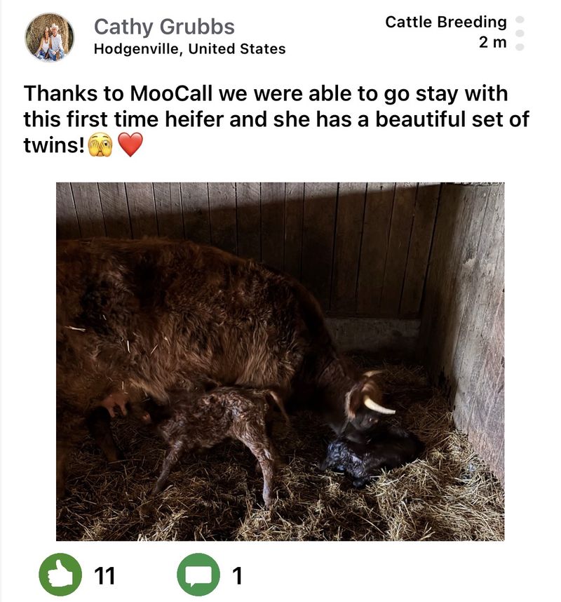 Moocall customer post 13