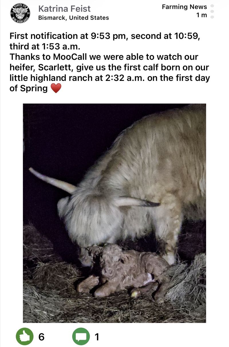 Moocall customer post 8