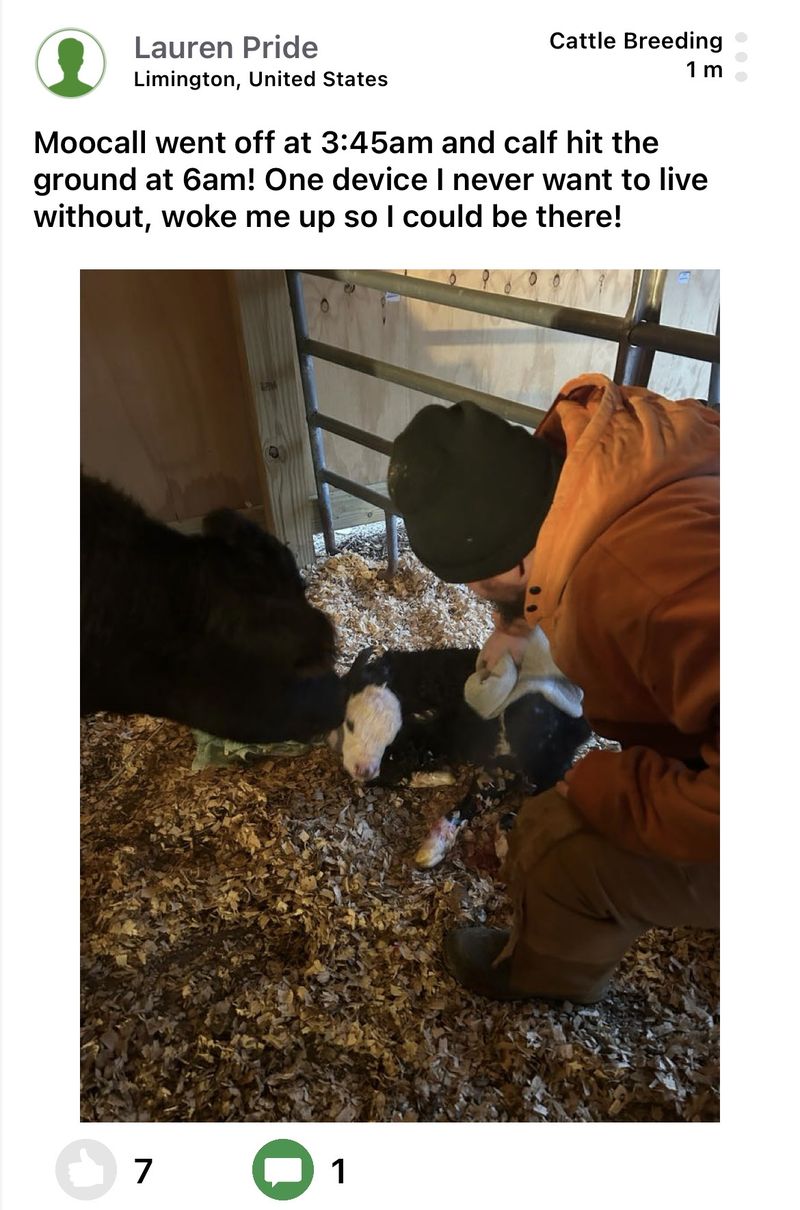 Moocall customer post 3