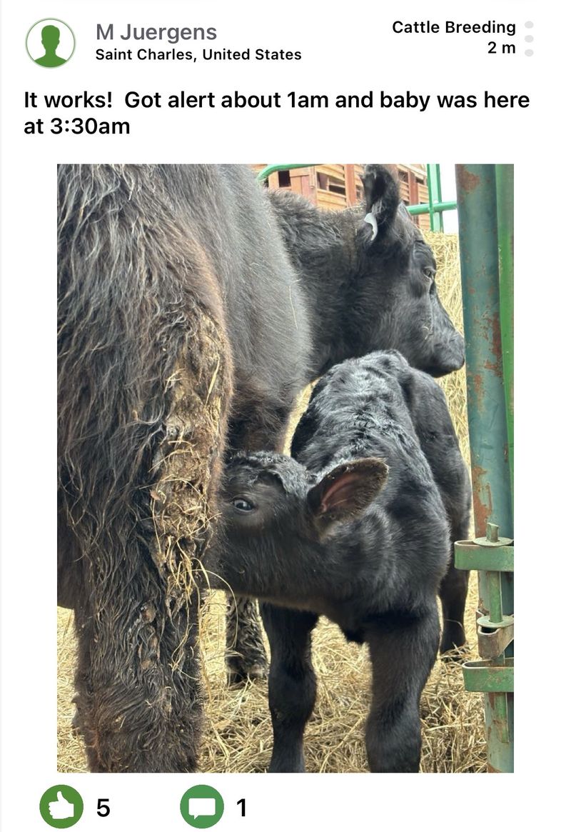 Moocall customer post 12