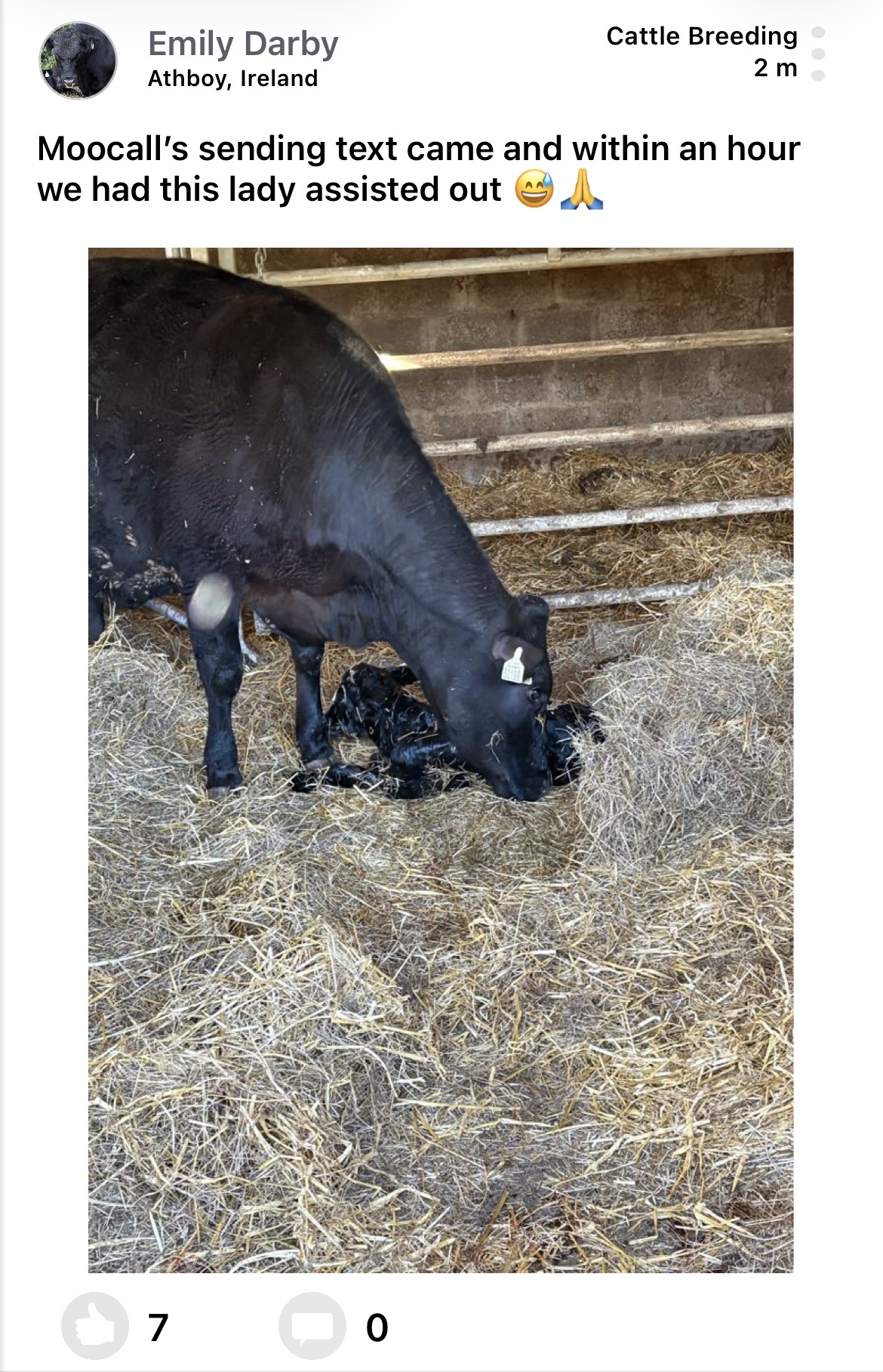 Moocall customer post 18