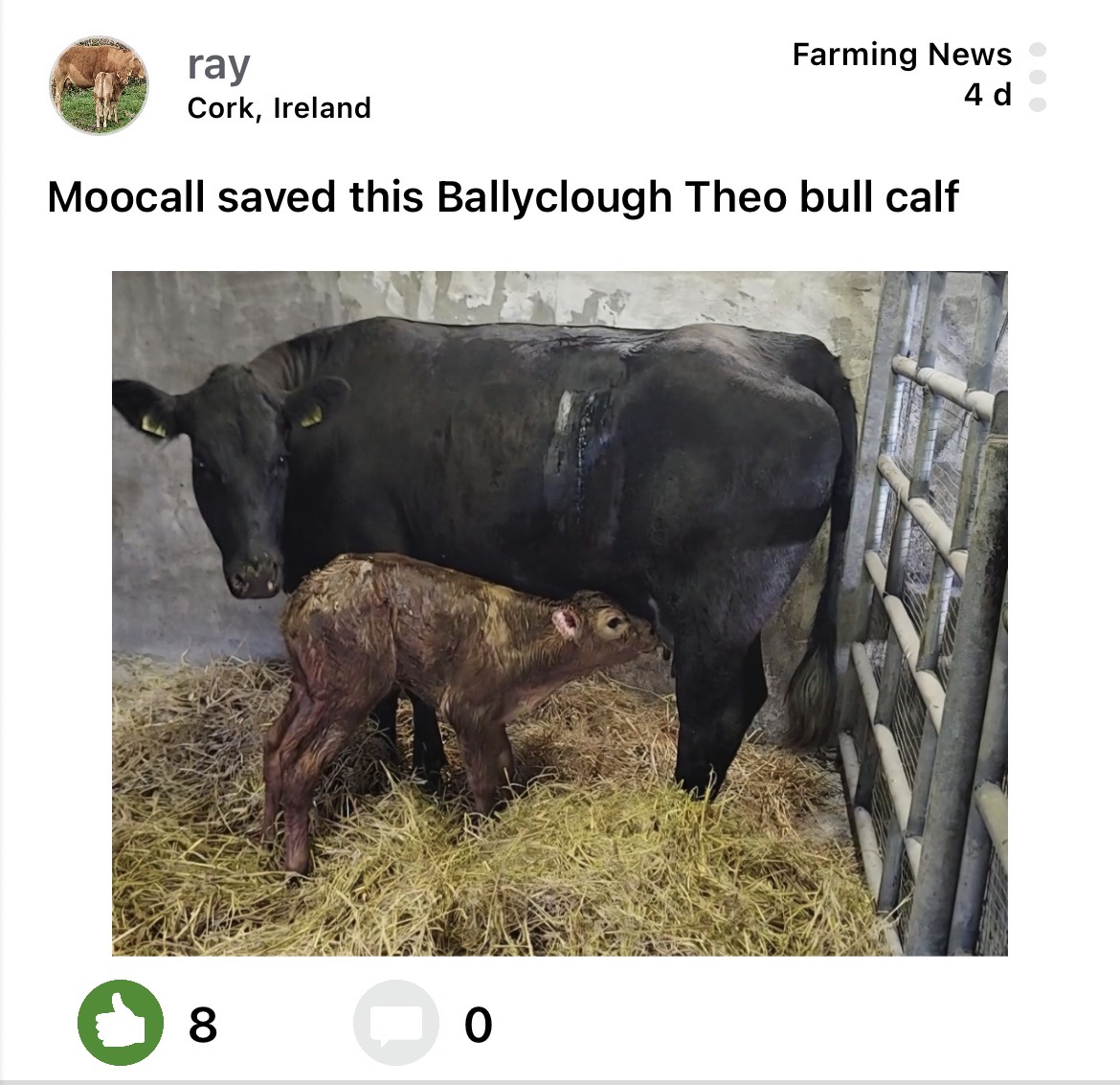 Moocall customer post 22