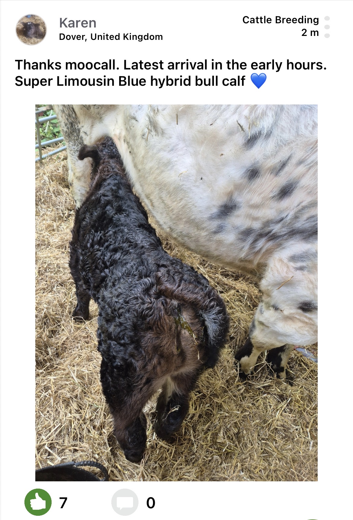 Moocall customer post 17