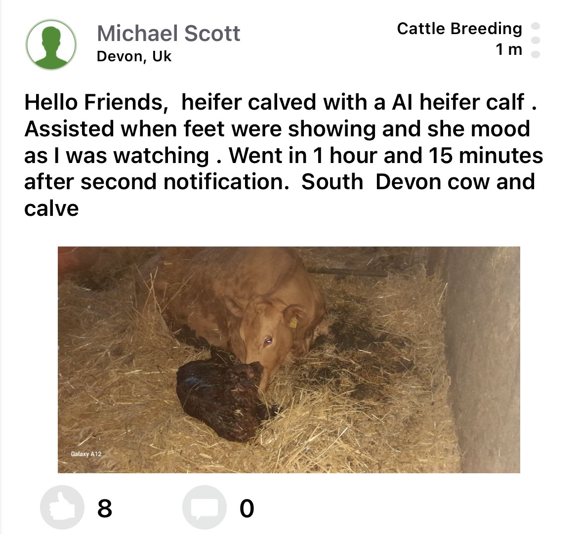Moocall customer post 19