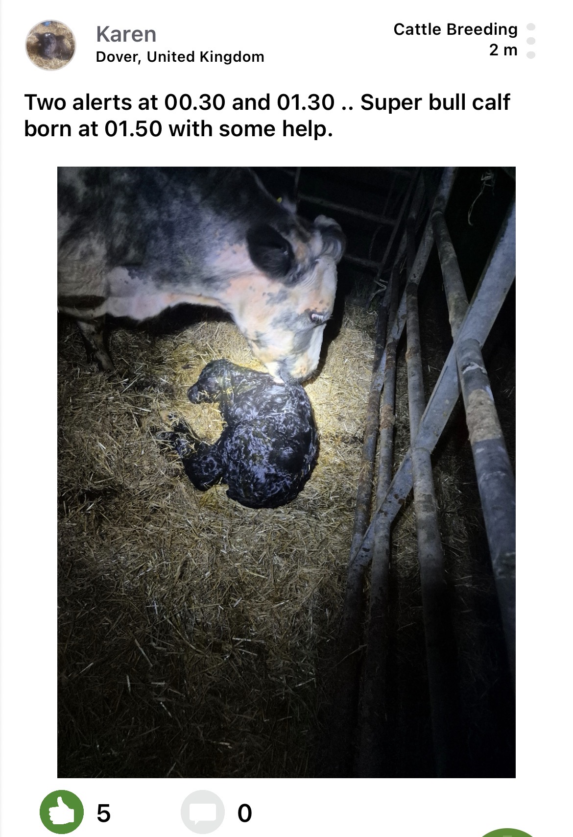 Moocall customer post 16