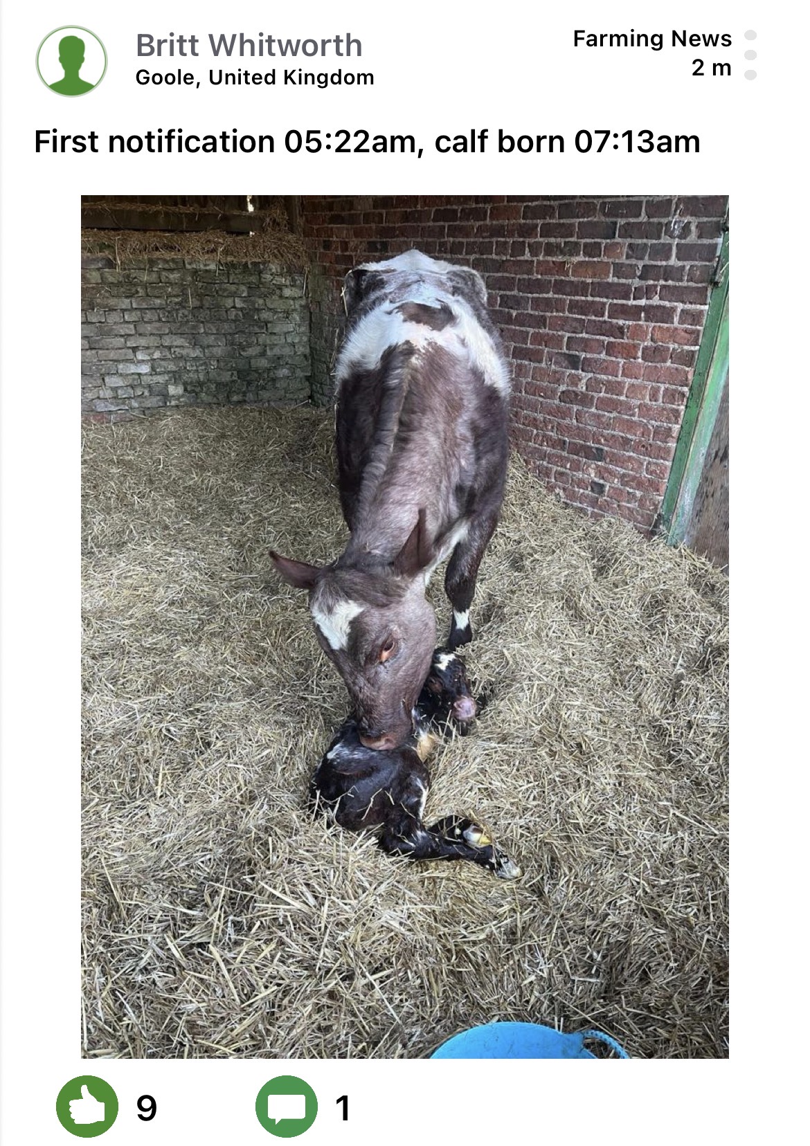 Moocall customer post 3