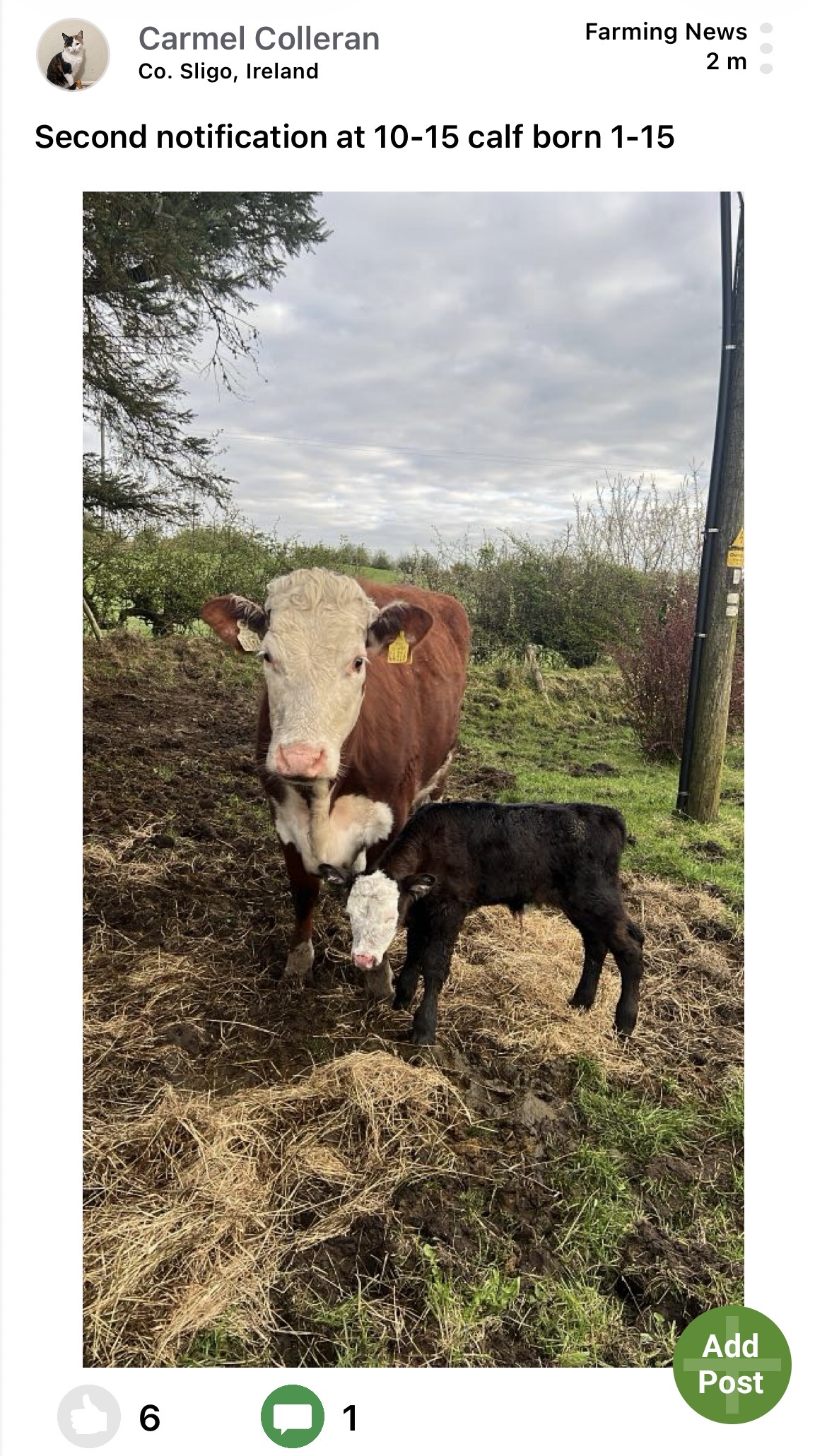 Moocall customer post 2