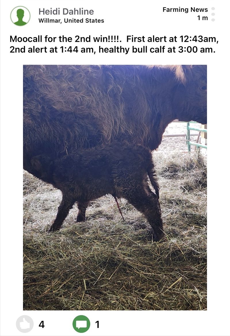 Moocall customer post 5