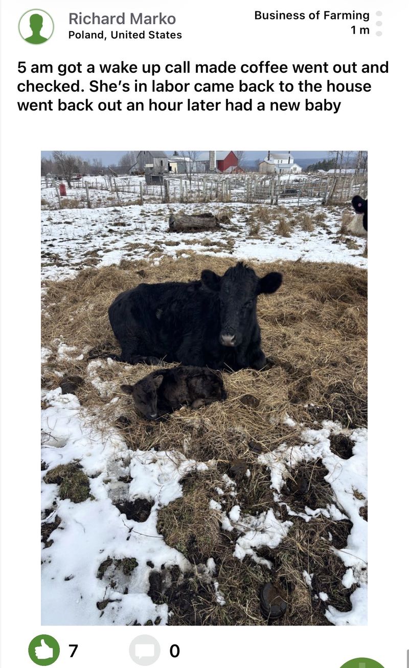 Moocall customer post 7