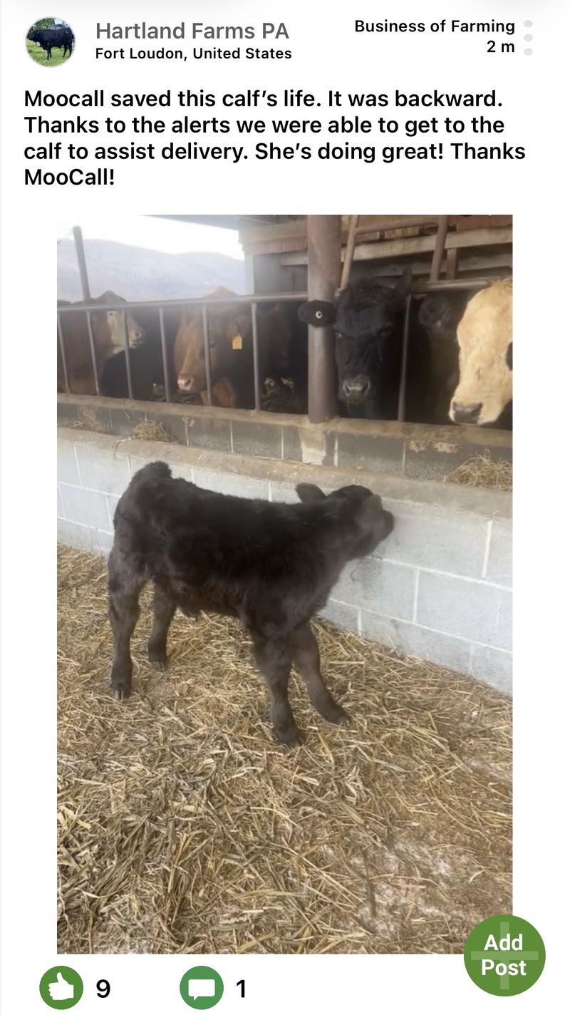 Moocall customer post 16