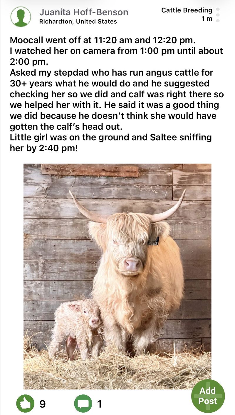 Moocall customer post 10