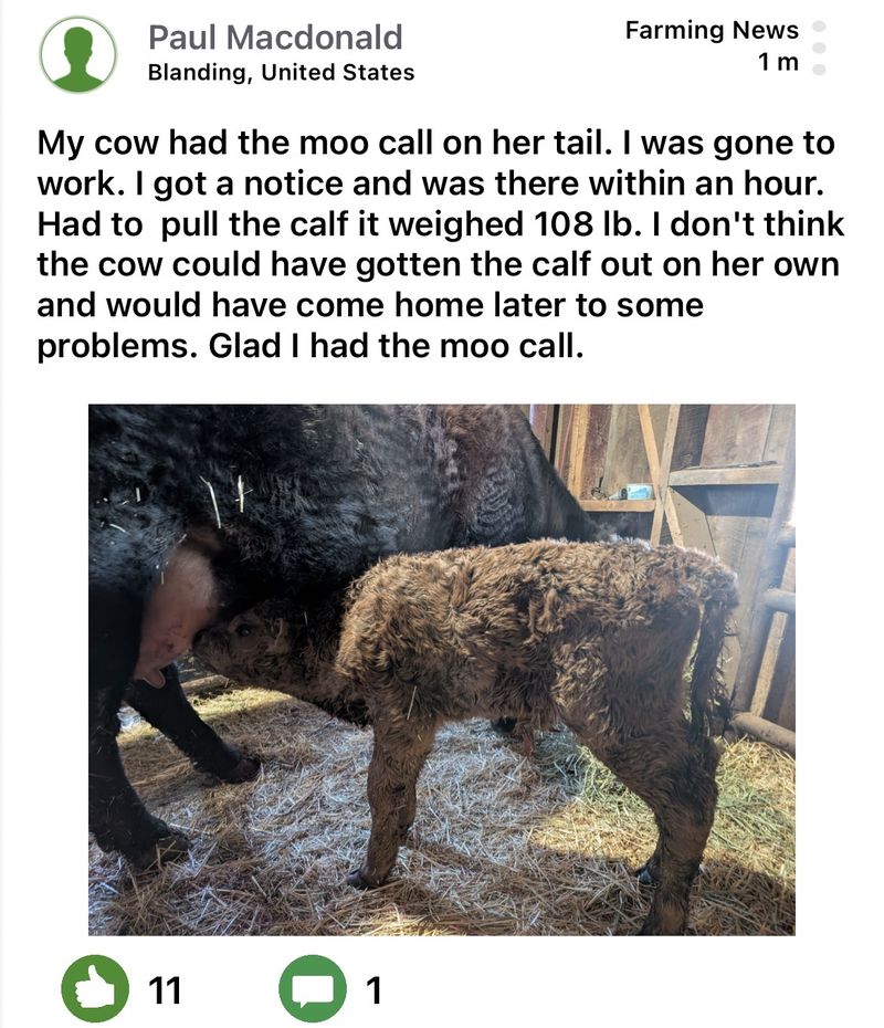 Moocall customer post 9