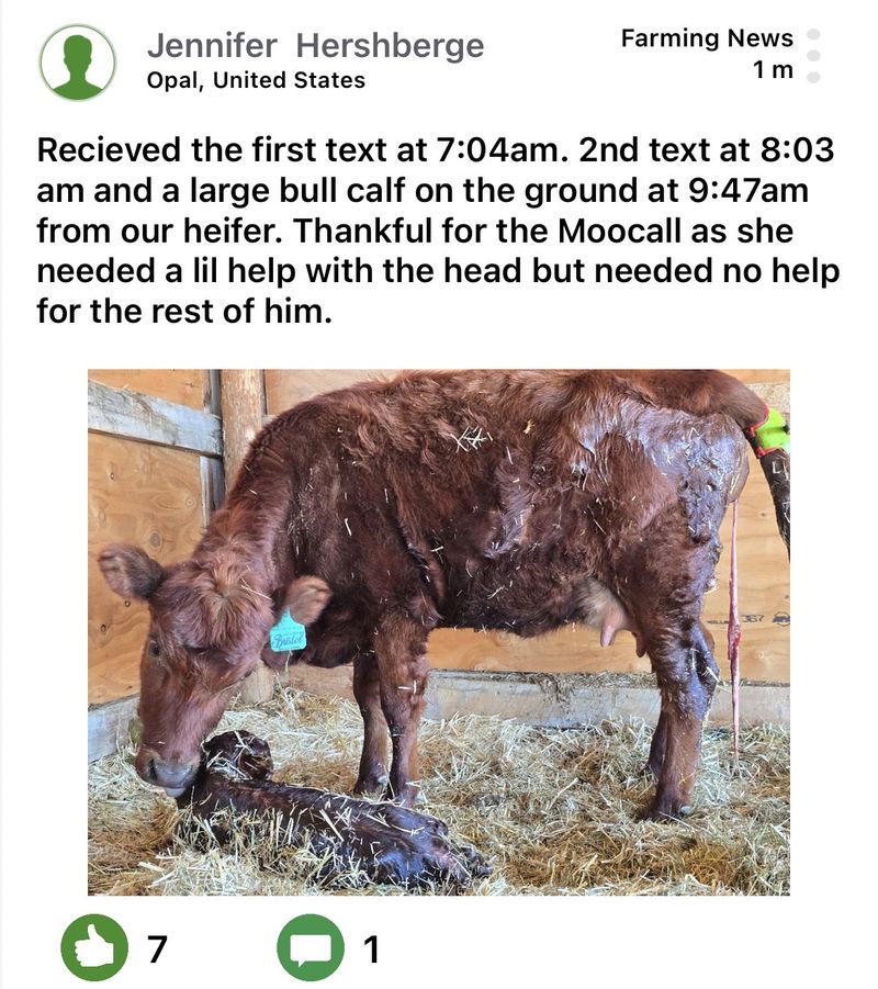 Moocall customer post 2
