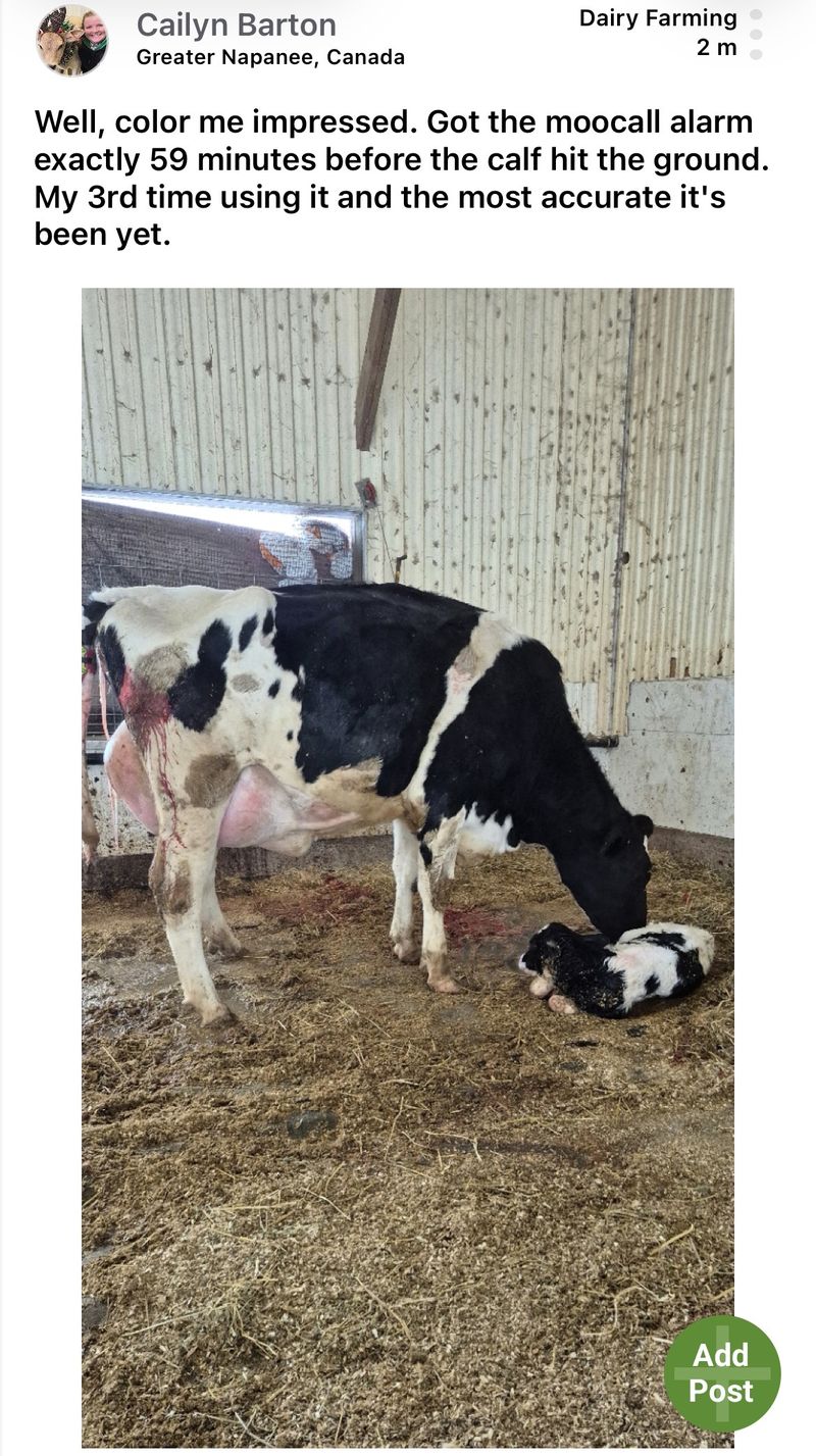 Moocall customer post 15