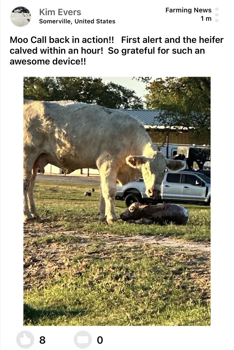 Moocall customer post 6