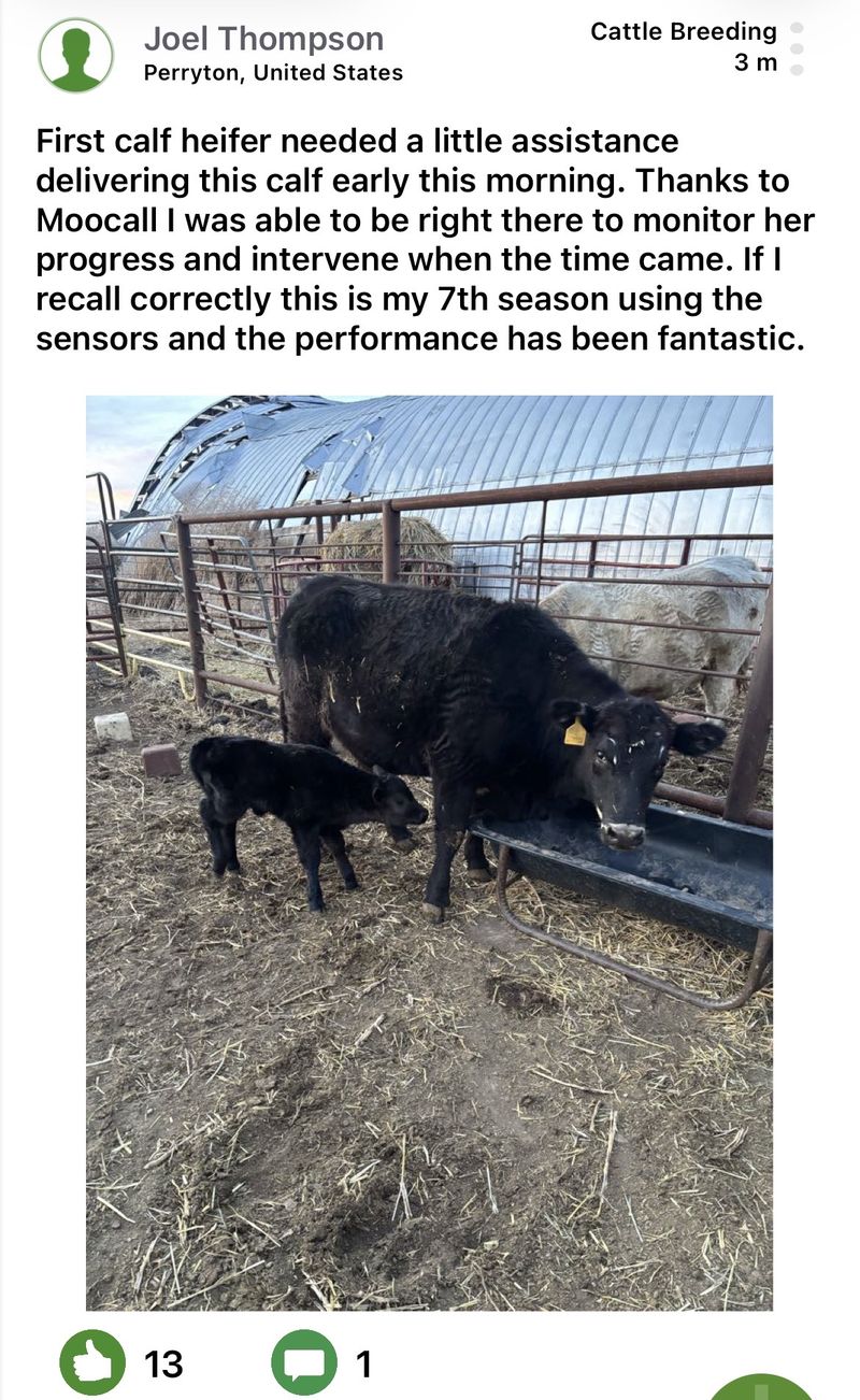 Moocall customer post 20