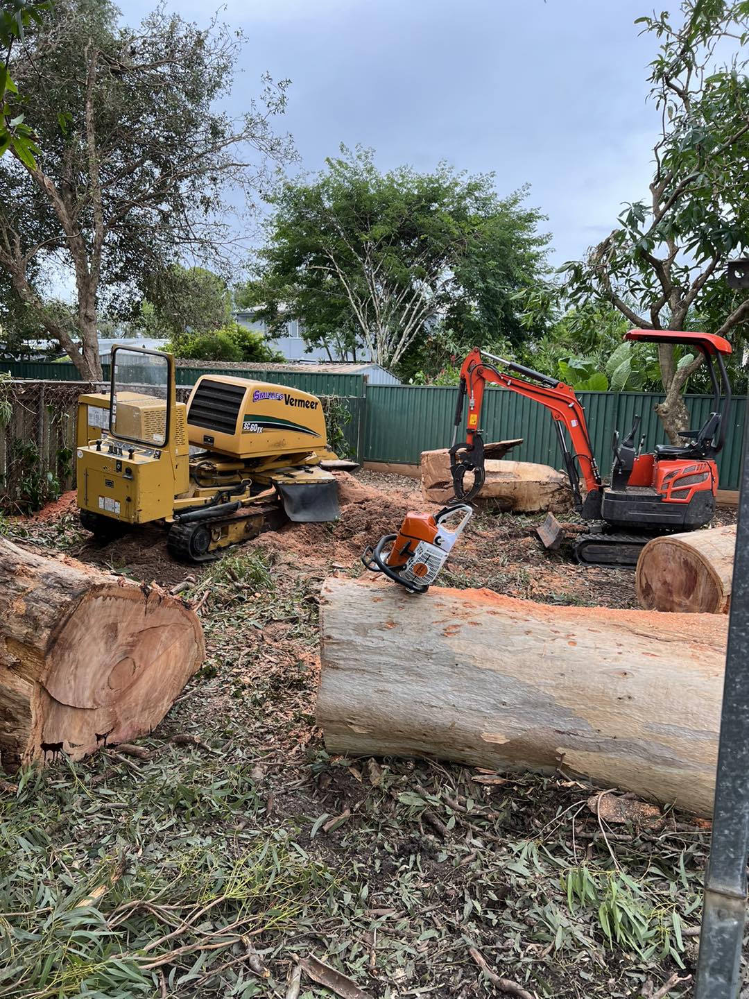 Tree Removal & Stump Grinding