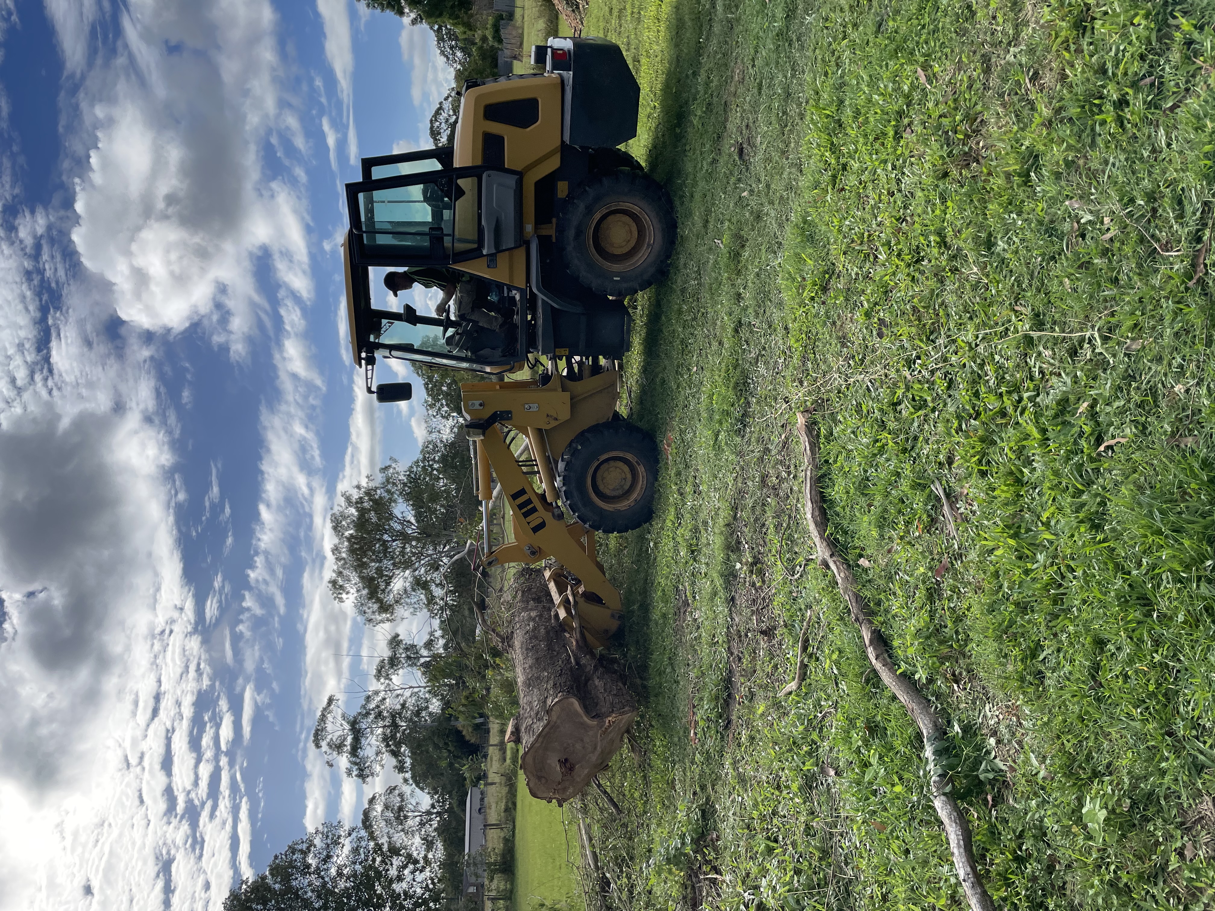 Tree Removal & Haul Away