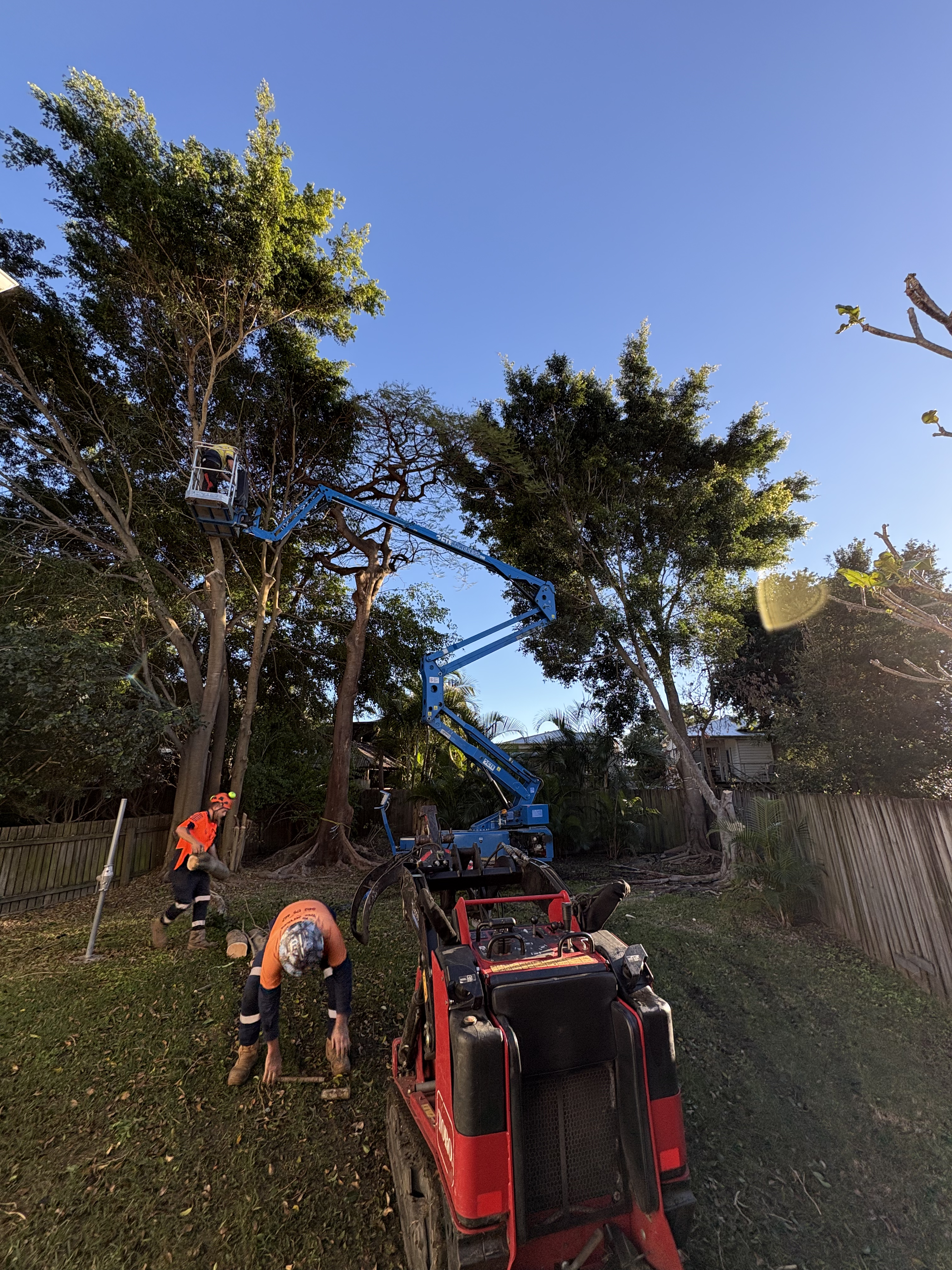 Elevated Canopy Trim