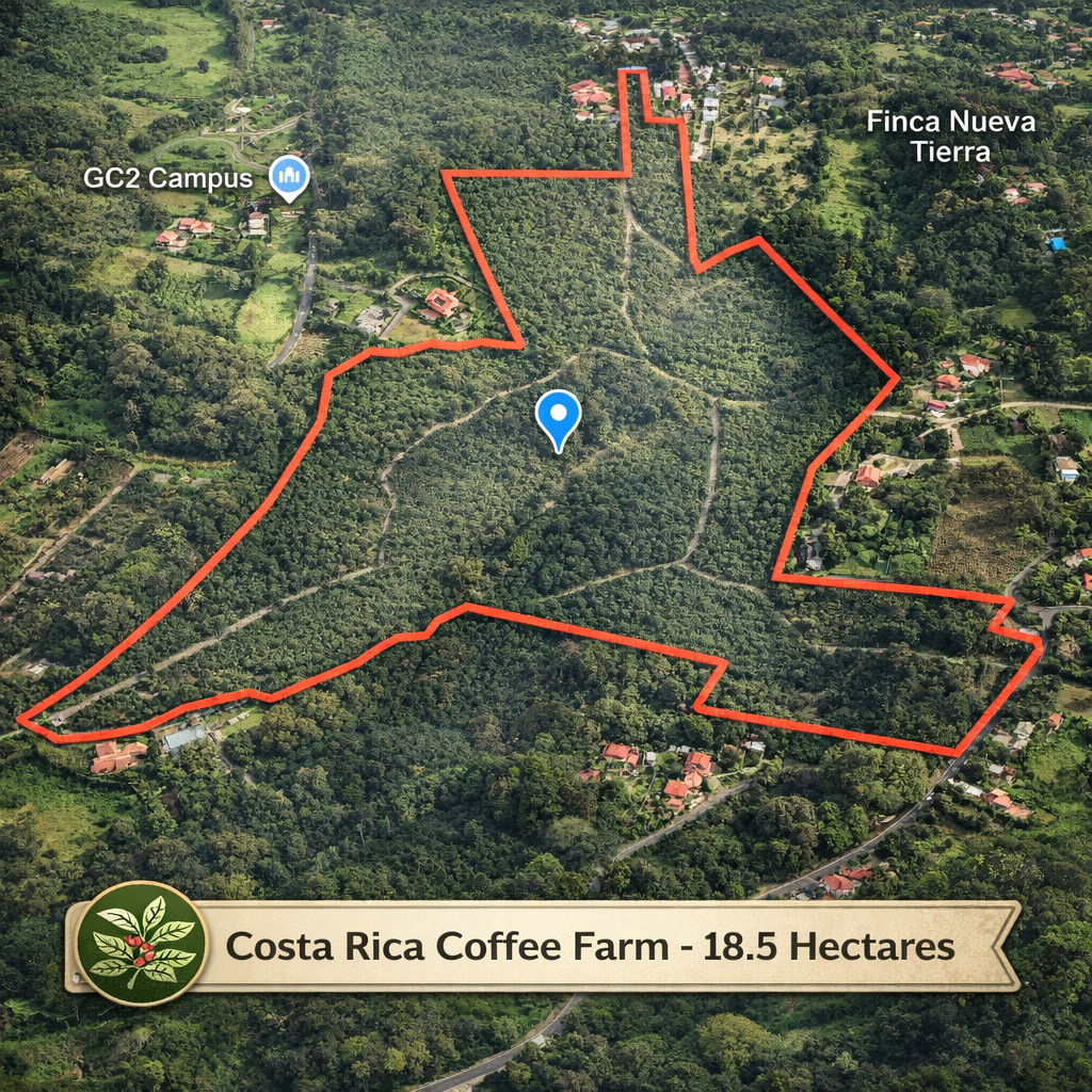 18.5 Hectare producing coffee farm 18.5 Hectare producing coffee farm