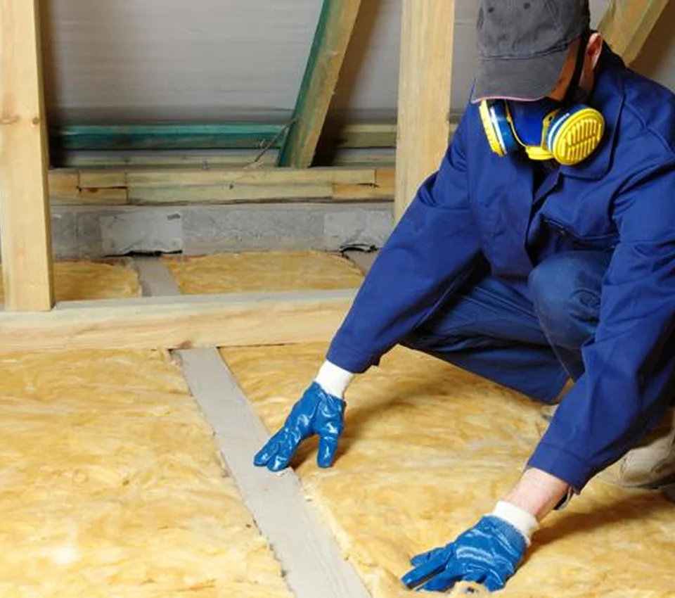 A pest removal specialist checking attic insulation for signs of raccoons. A pest removal specialist checking attic insulation for signs of raccoons.