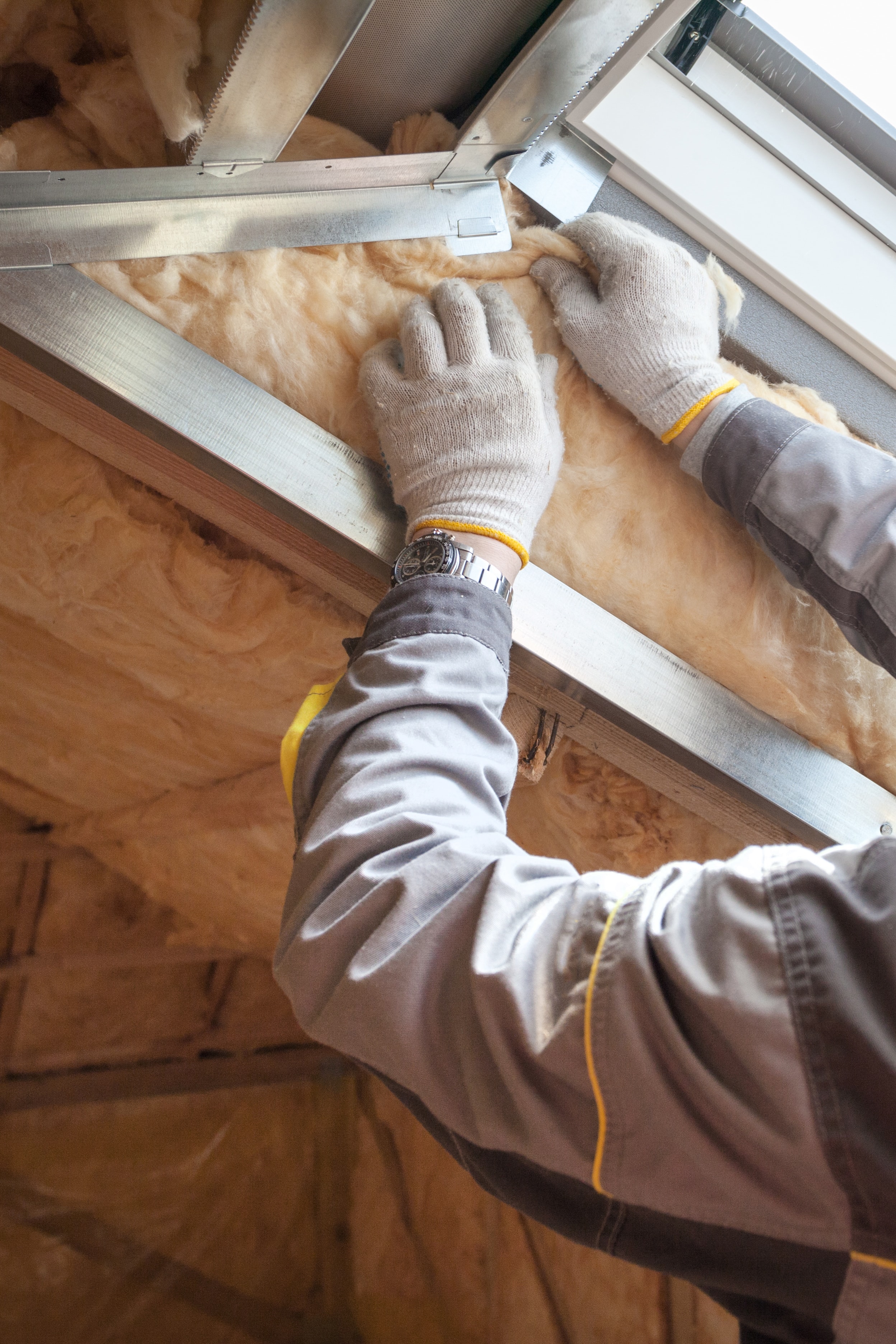 A licensed pest removal specialist replacing attic insulation after legally removing some local bats.