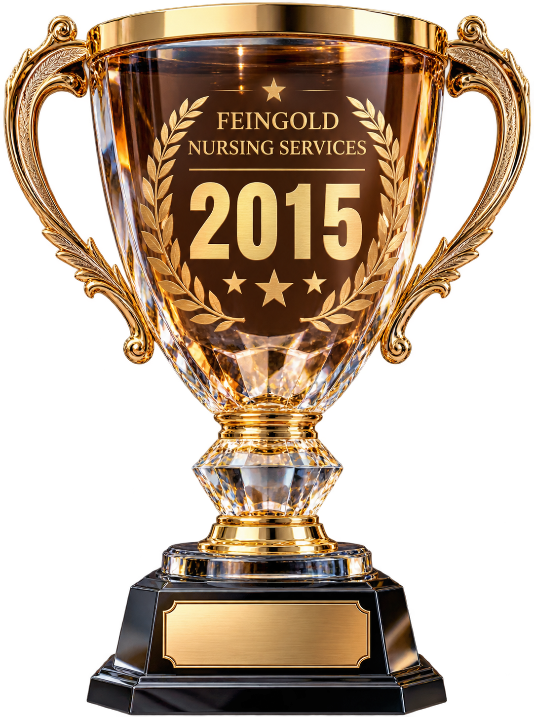 Feingold Nursing Services award recognition photograph 4