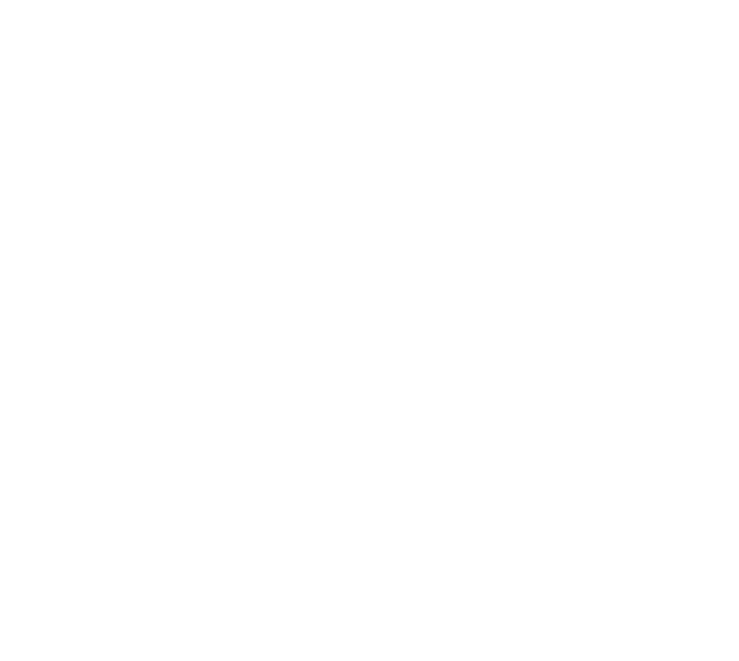 U.S. Air Force