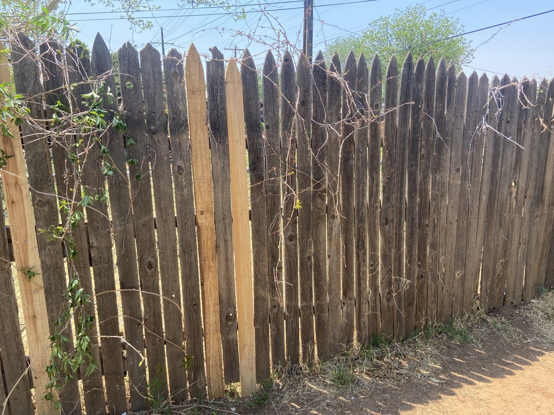 Repaired wood picket fence on a fence repair job in Lubbock, TX