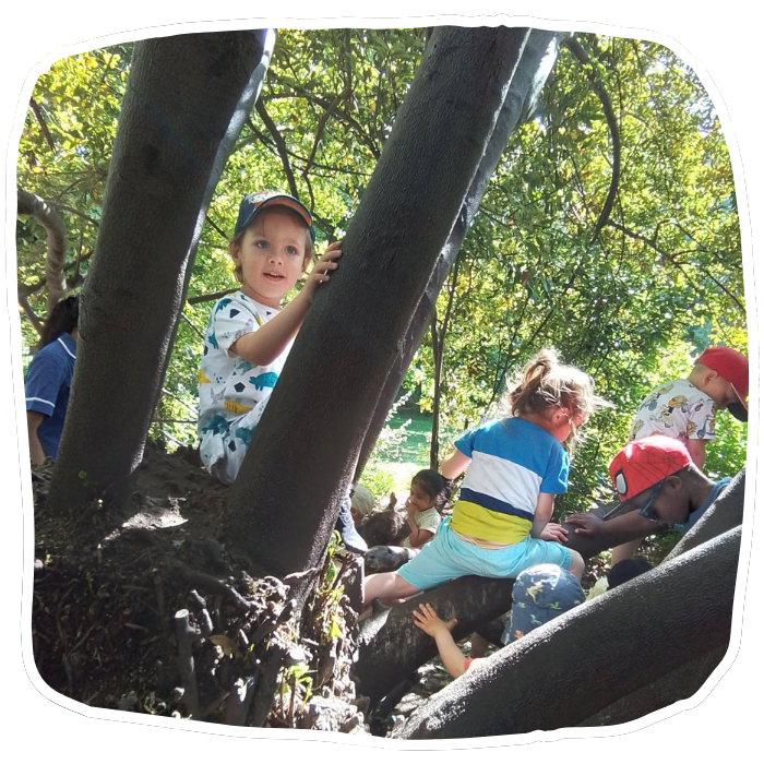Several children climb and sit among the thick roots and trunks of a tree in a sunny, leafy park at nursery in Morden