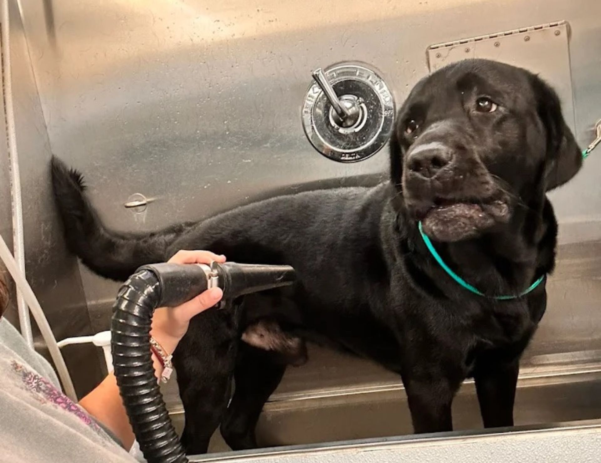 Broken Arrow Bathing Service