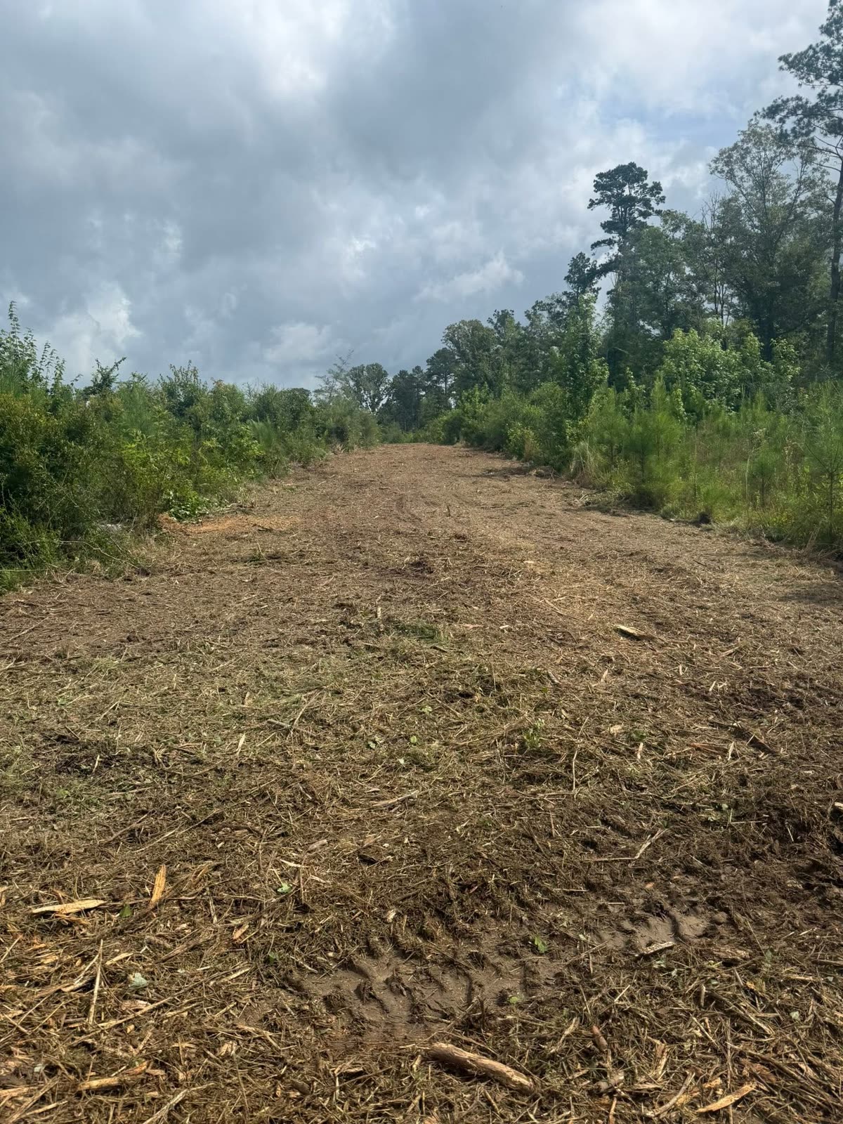 Freshly mulched lane with the ground material left in place after a forestry mulching pass