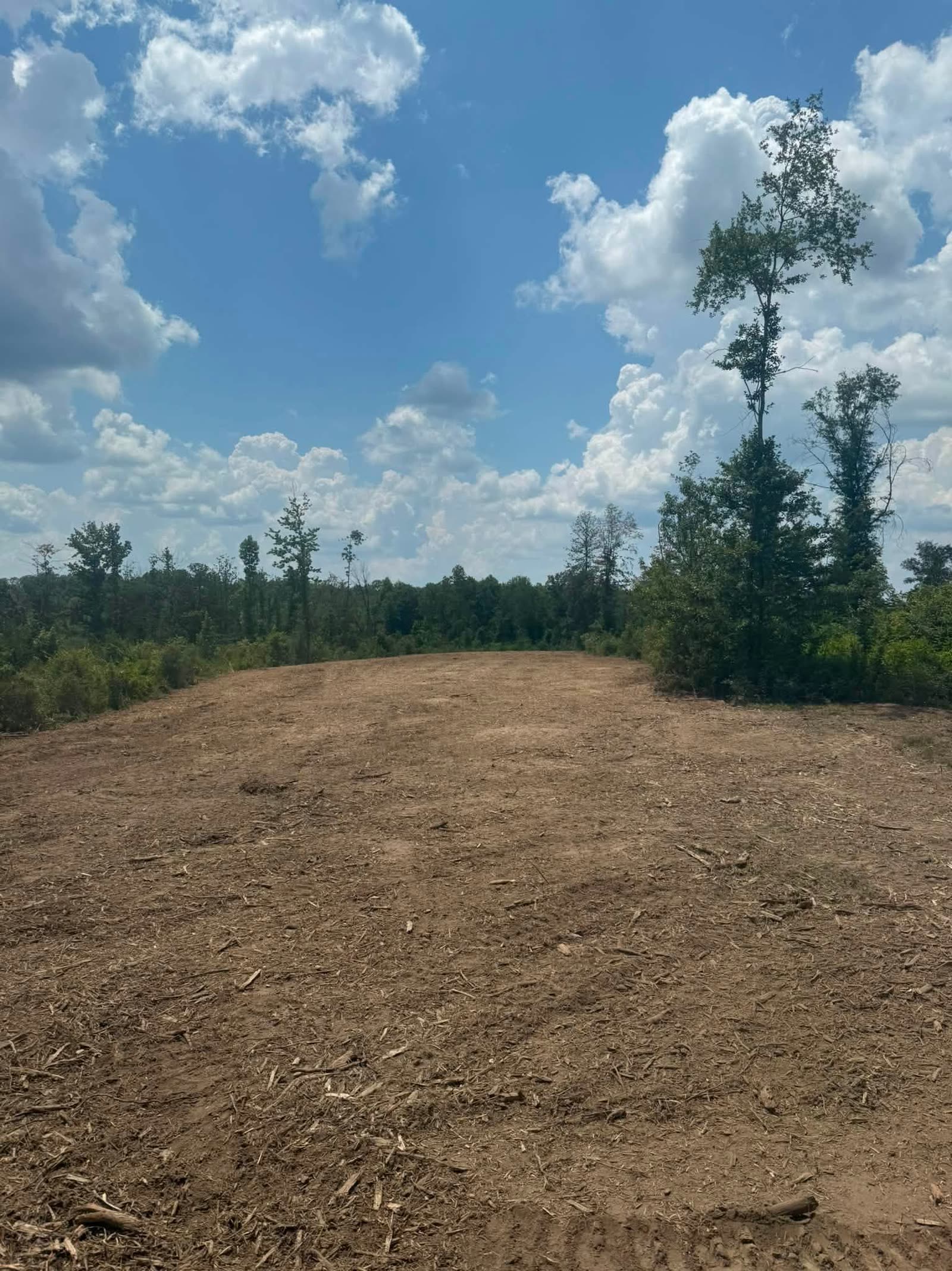 Wide opening cleared out of standing timber with mature trees left in place