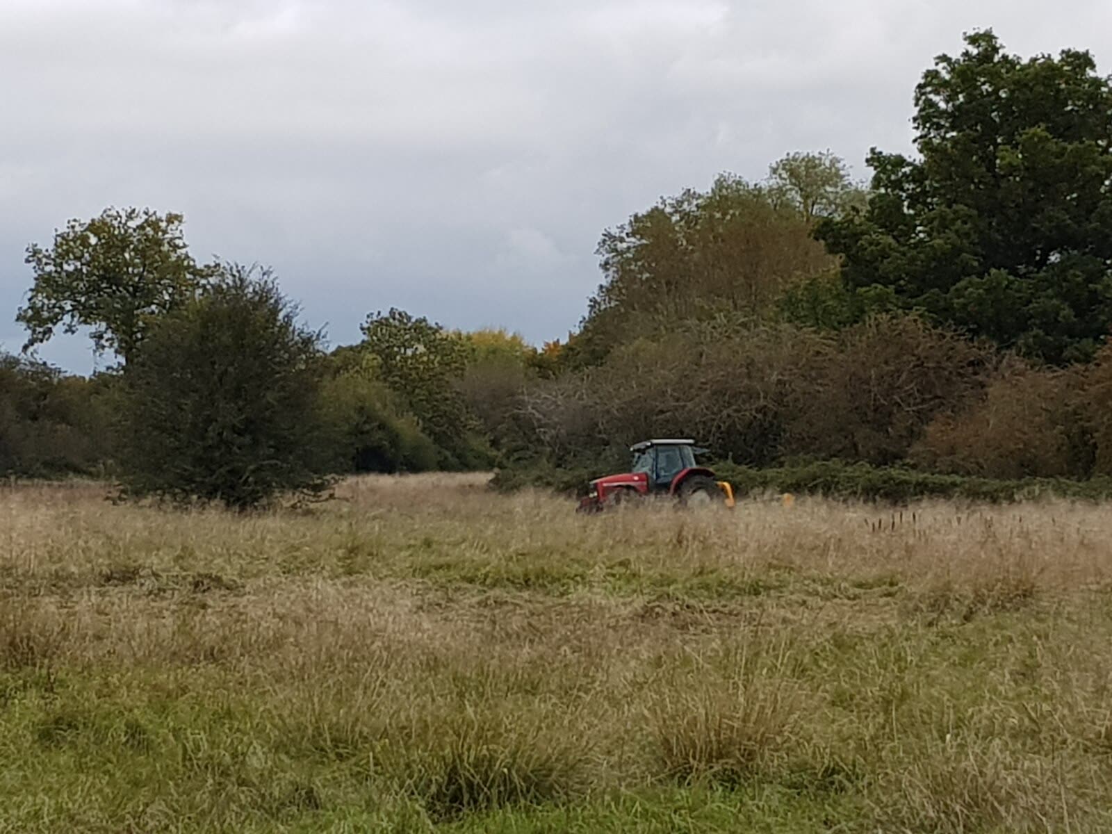 Tractor bush hogging tall grass on a Mississippi field